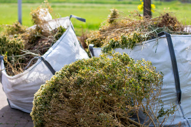 Best Mattress Removal Service  in Wray, CO