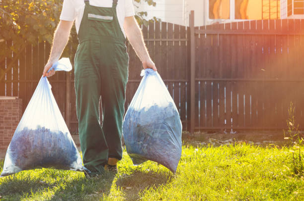 Best Construction Debris Removal  in Wray, CO