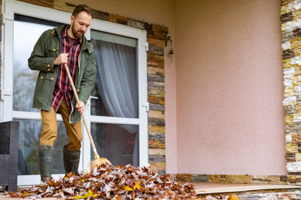 Best Full-Service Junk Removal  in Wray, CO