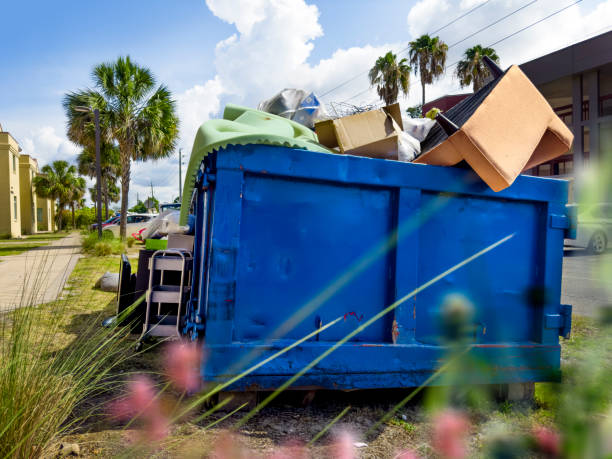 Attic Cleanout Services in Wray, CO